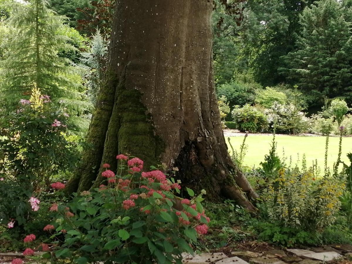 Chambre E Andre Le Domaine Des Jardins De Bracquetuit Εξωτερικό φωτογραφία