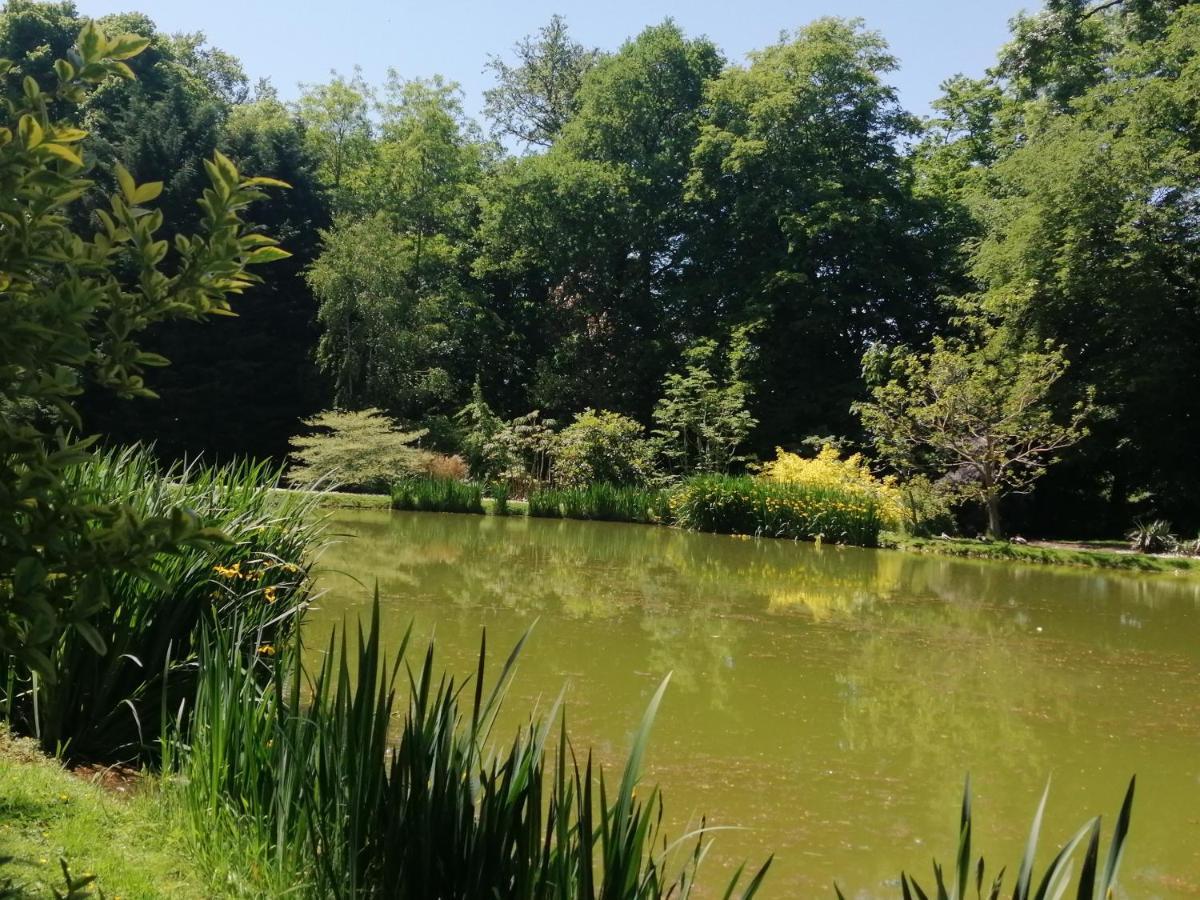 Chambre E Andre Le Domaine Des Jardins De Bracquetuit Εξωτερικό φωτογραφία